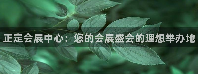 果博平台苹果电脑怎么下载