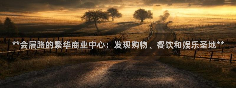 果博公司：**会展路的繁华商业中心：发现购物、餐饮和娱乐圣地**