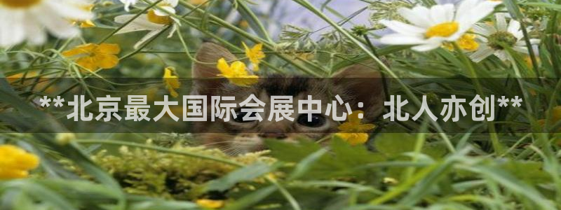 苹果电脑怎么下载伯索：**北京最大国际会展中心：北人亦创**