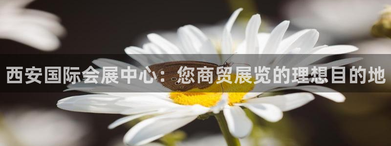 果博注册会员要钱吗：西安国际会展中心：您商贸展览的理想目的地