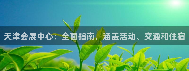 果博注册平台怎么注册不了：天津会展中心：全面指南，涵盖活动、交通和住宿