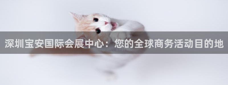 果博公司开户：深圳宝安国际会展中心：您的全球商务活动目的地