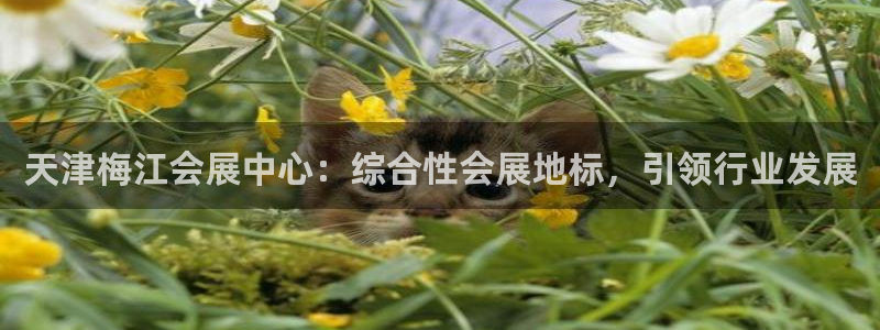 果博平台电话：天津梅江会展中心：综合性会展地标，引领行业发展