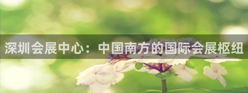 下载果博博东方：深圳会展中心：中国南方的国际会展枢纽