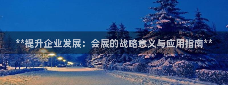 果博平台真实吗安全吗可信吗安全吗：**提升企业发展：会展的战略意义与应用指南**
