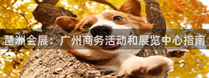 果博公司会员开户：琶洲会展：广州商务活动和展览中心指南