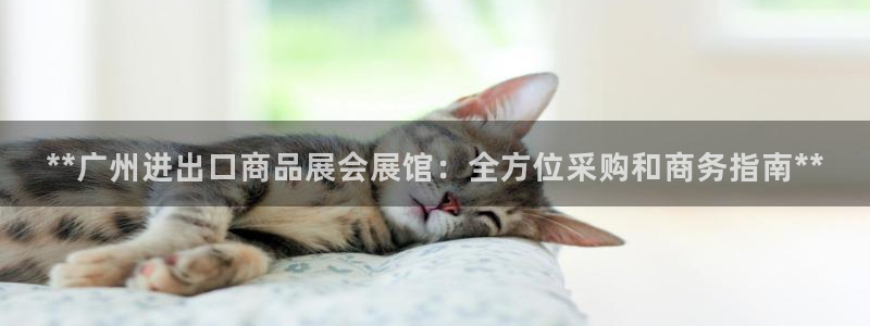 果博注册客服电话号码是多少：**广州进出口商品展会展馆：全方位采购和商务指南**