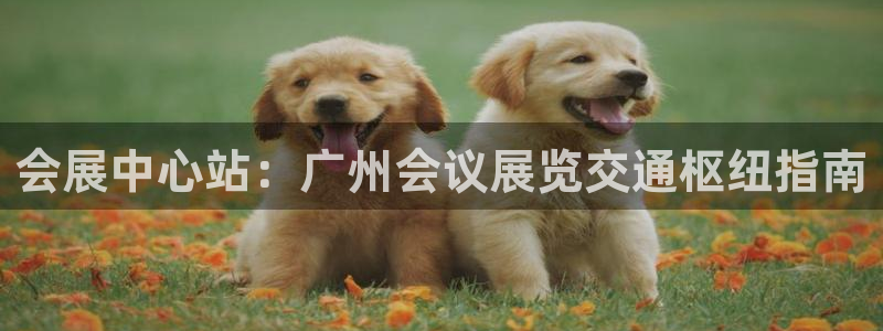 果博注册客服电话是多少号码：会展中心站：广州会议展览交通枢纽指南