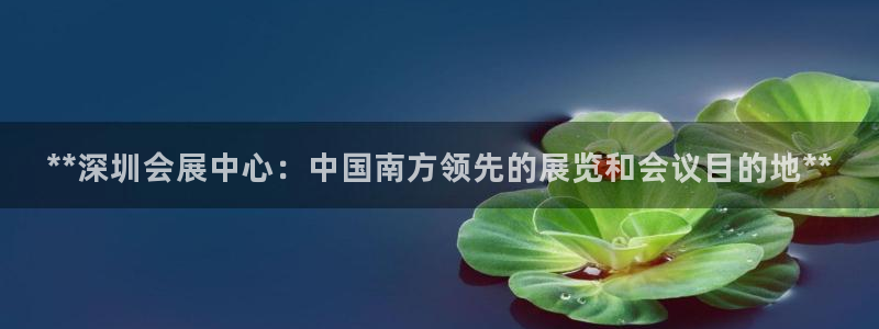 果博上分电话