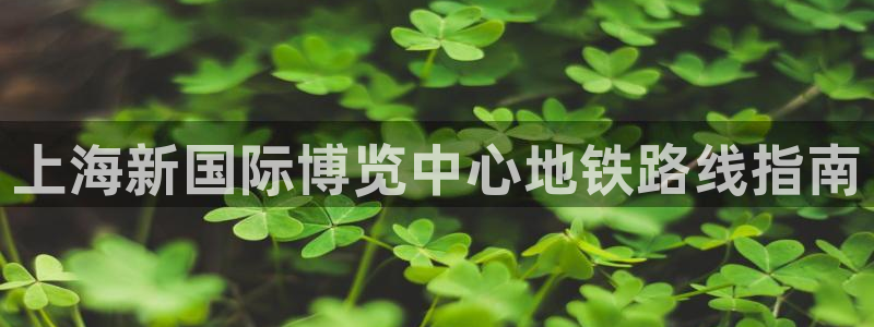 果博网站二维码：上海新国际博览中心地铁路线指南