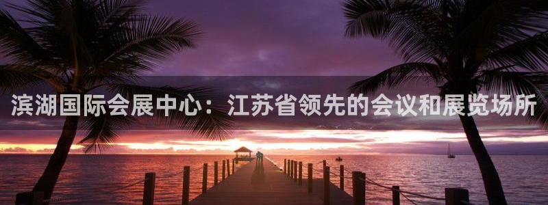 果博公司游戏网址：滨湖国际会展中心：江苏省领先的会议和展览场所