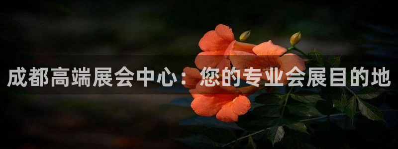 果博平台真实吗安全吗可靠吗：成都高端展会中心：您的专业会展目的地