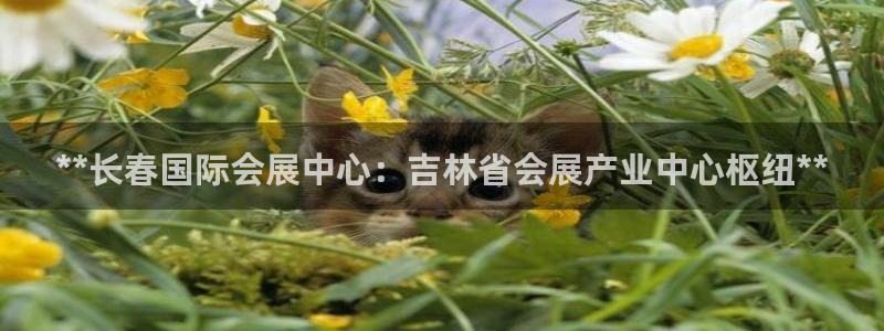 果博代理网