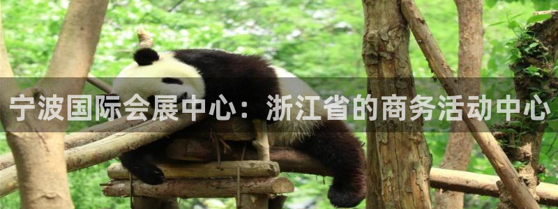 果博注册客服电话号码查询：宁波国际会展中心：浙江省的商务活动中心
