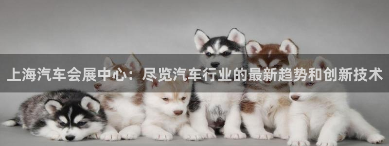 果博注册客服电话号码是多少：上海汽车会展中心：尽览汽车行业的最新趋势和创新技术