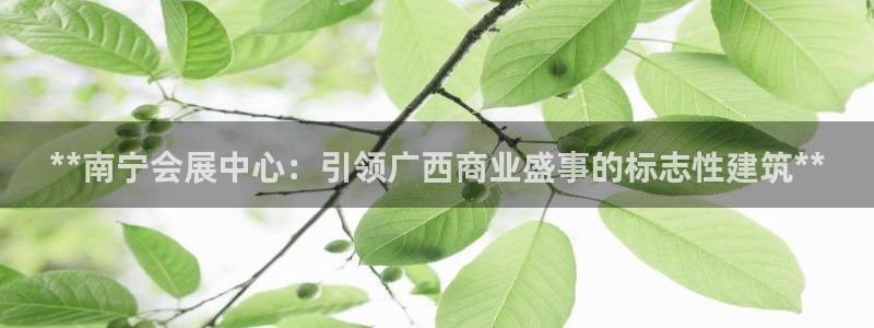果博注册会员：**南宁会展中心：引领广西商业盛事的标志性建筑**