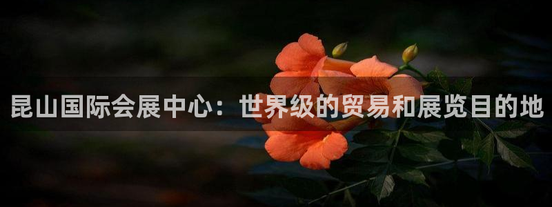 果博公司开户注册：昆山国际会展中心：世界级的贸易和展览目的地