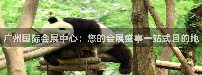 果博集团：广州国际会展中心：您的会展盛事一站式目的地