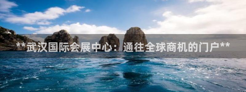 果博公司客服微信：**武汉国际会展中心：通往全球商机的门户**