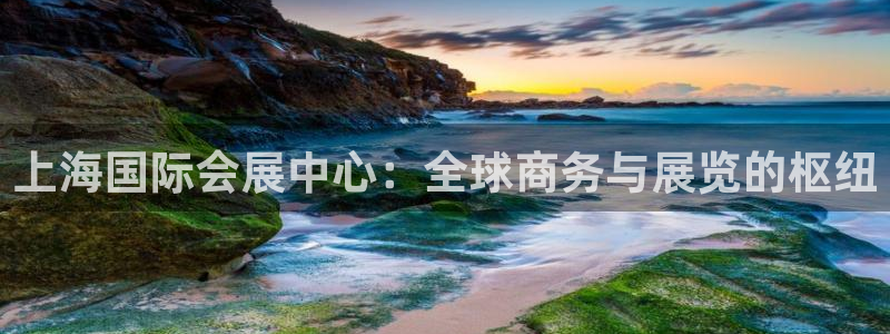 果博东官方网站怎么下载：上海国际会展中心：全球商务与展览的枢纽