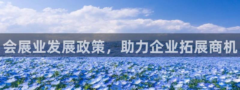 果博注册客服电话是多少号码：会展业发展政策，助力企业拓展商机