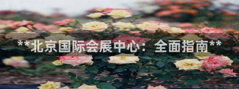 果博总台电话