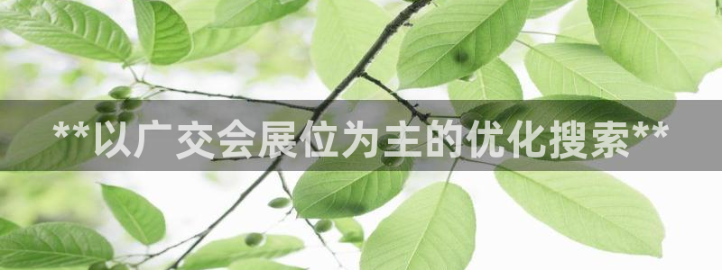 果博平台开户电话查询：**以广交会展位为主的优化搜索**