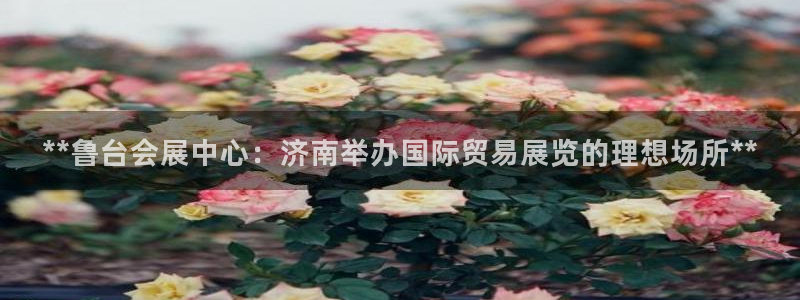 果博公司开户注册：**鲁台会展中心：济南举办国际贸易展览的理想场所**