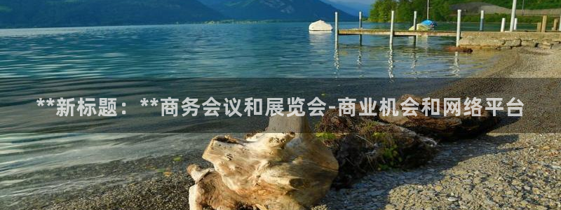 果博注册平台怎么注册不了：**新标题：**商务会议和展览会-商业机会和网络平台