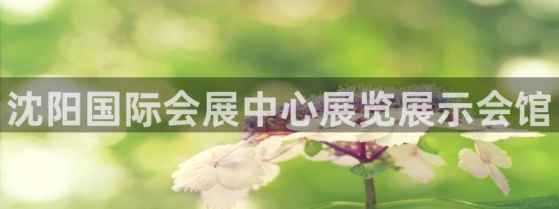 果博注册：沈阳国际会展中心展览展示会馆