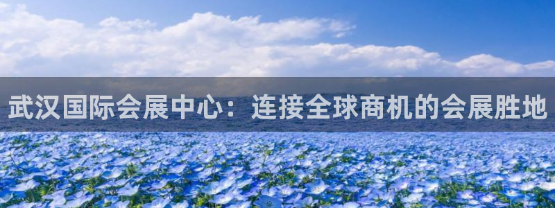 果博注册链接：武汉国际会展中心：连接全球商机的会展胜地