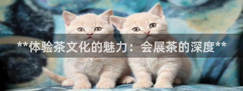 果博官网客服电话号码查询：**体验茶文化的魅力：会展茶的深度**