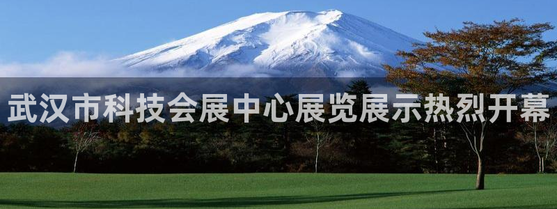 果博注册链接：武汉市科技会展中心展览展示热烈开幕