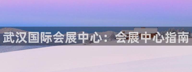 苹果电脑怎么下载博弈大师等软件：武汉国际