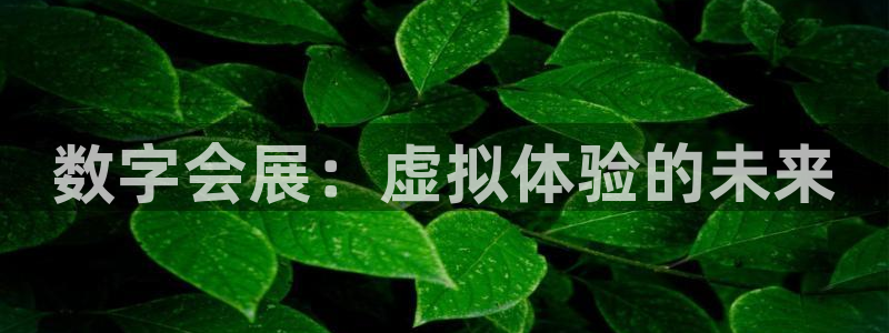 果博公司客服电话多少：数字会展：虚拟体验的未来