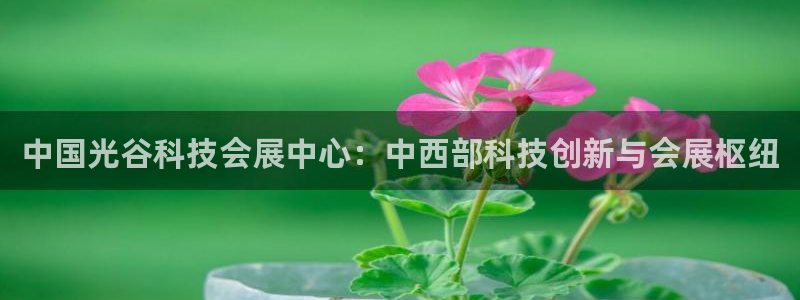 果博注册会员：中国光谷科技会展中心：中西部科技创新与会展枢纽