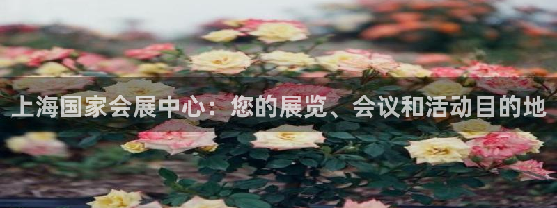 果博注册会员维wckk389：上海国家会展中心：您的展览、会议和活动目的地