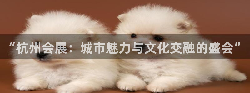果博公司会员开户：“杭州会展：城市魅力与文化交融的盛会”