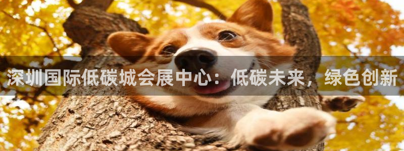 果博注册平台怎么注册不了：深圳国际低碳城会展中心：低碳未来，绿色创新
