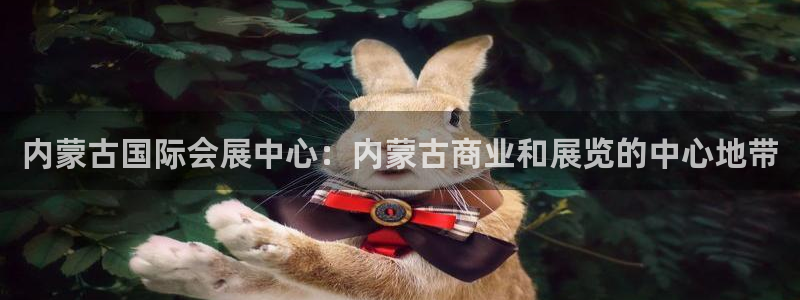 果博公司客服：内蒙古国际会展中心：内蒙古商业和展览的中心地带