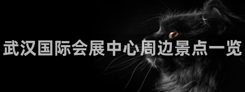 果博平台真实吗安全吗可信吗是真的吗：武汉国际会展中心周边景点一览