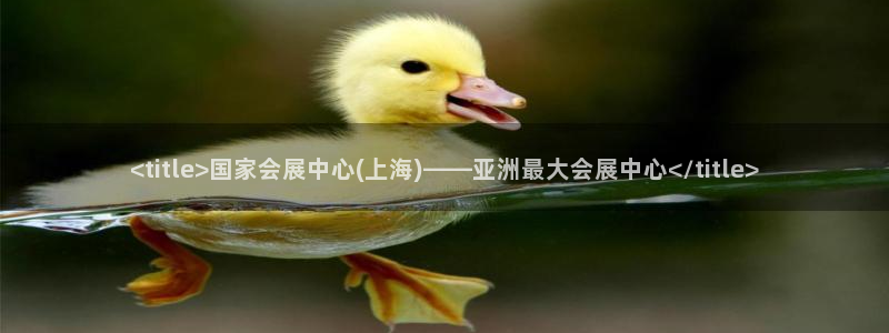 果博公司上分客服：<title>国家会展中心(上海)——亚洲最大会展中心</title>