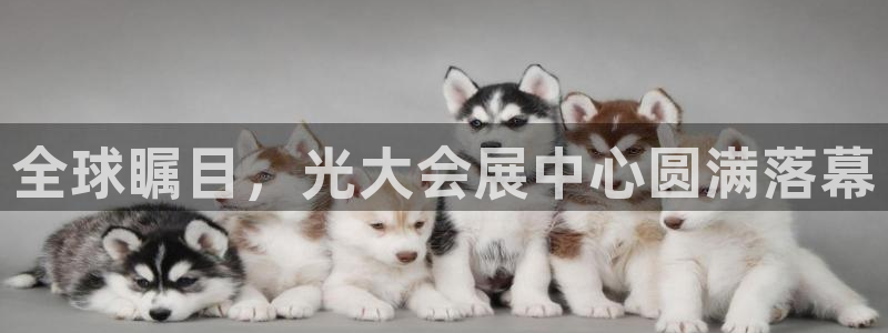 果博网站二维码：全球瞩目，光大会展中心圆满落幕