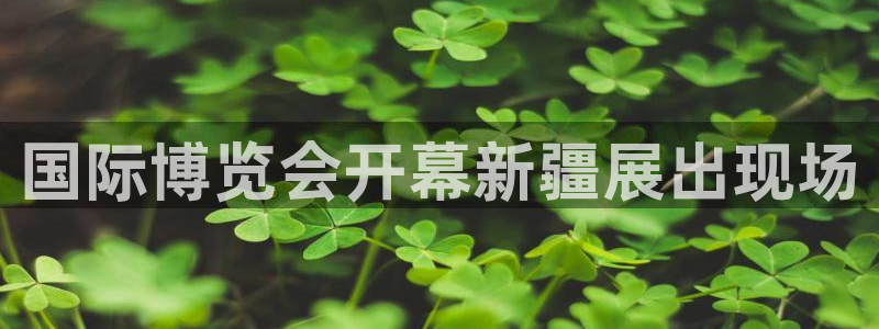 果博注册链接：国际博览会开幕新疆展出现场