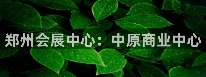 果博注册客服电话号码查询：郑州会展中心：中原商业中心