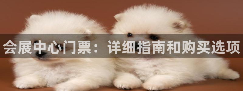 果搏代理：会展中心门票：详细指南和购买选项