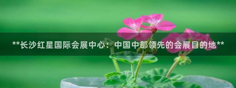 果博公司会员注册账号开户：**长沙红星国