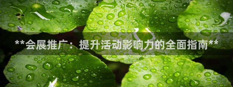 果博上分电话：**会展推广：提升活动影响