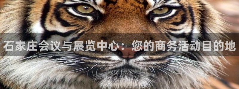 果博公司客服怎么样：石家庄会议与展览中心：您的商务活动目的地