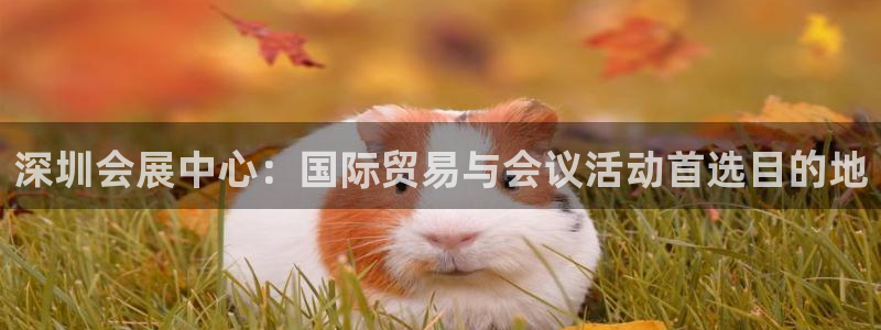 果搏代理：深圳会展中心：国际贸易与会议活动首选目的地